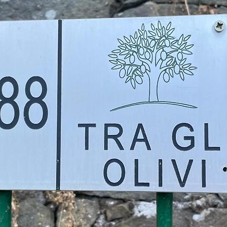 Tra Gli Olivi Διαμέρισμα Λούκα Εξωτερικό φωτογραφία