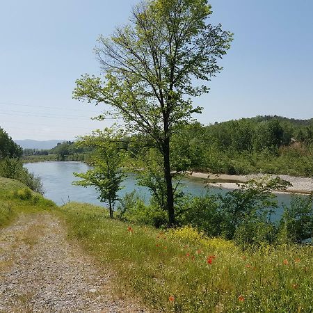 Tra Gli Olivi Διαμέρισμα Λούκα Εξωτερικό φωτογραφία