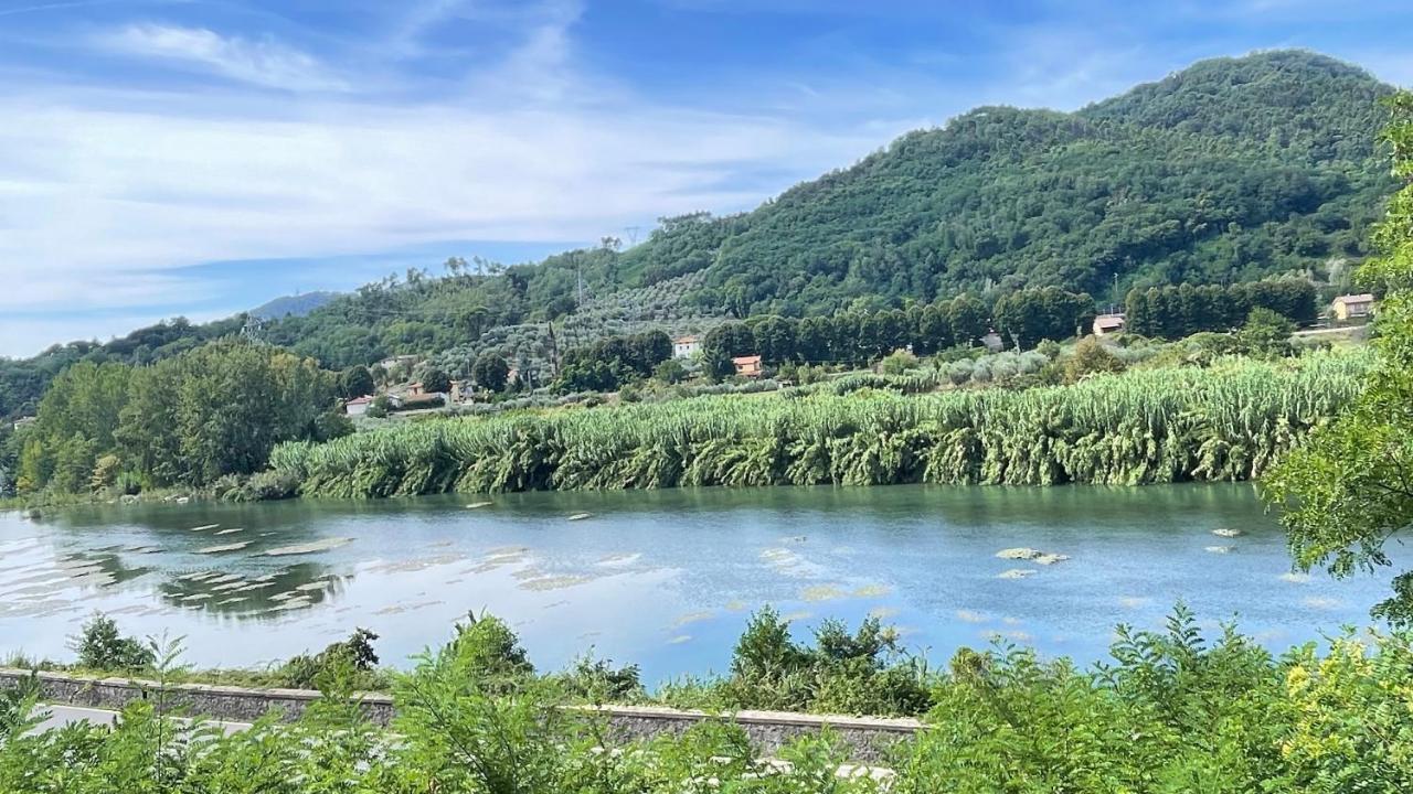 Tra Gli Olivi Διαμέρισμα Λούκα Εξωτερικό φωτογραφία