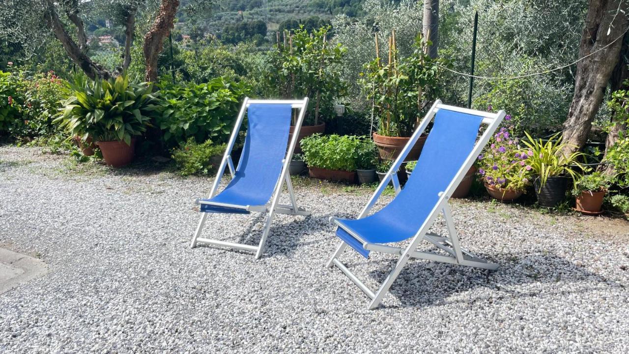 Tra Gli Olivi Διαμέρισμα Λούκα Εξωτερικό φωτογραφία