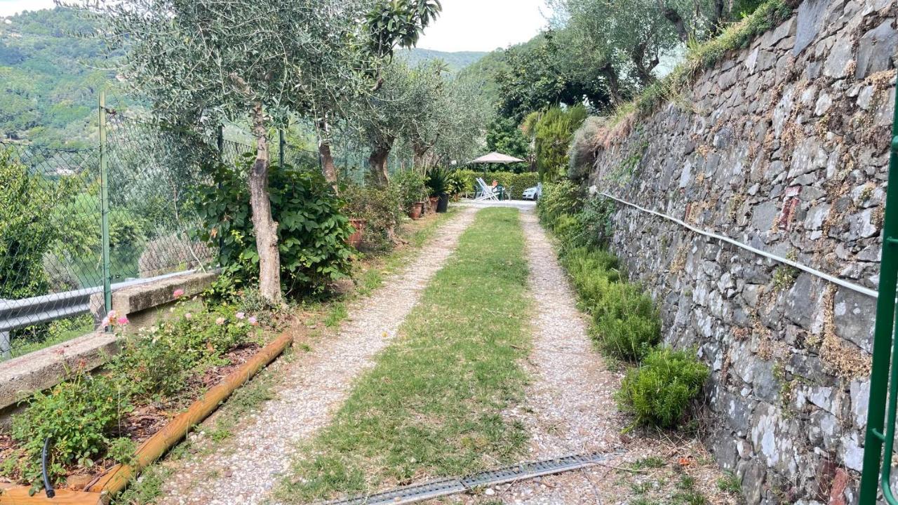 Tra Gli Olivi Διαμέρισμα Λούκα Εξωτερικό φωτογραφία