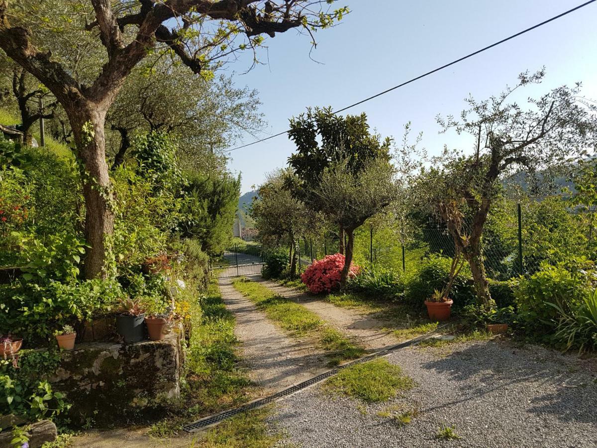 Tra Gli Olivi Διαμέρισμα Λούκα Εξωτερικό φωτογραφία